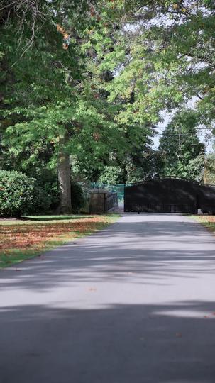 Mafia's Tender Torture Episode 1