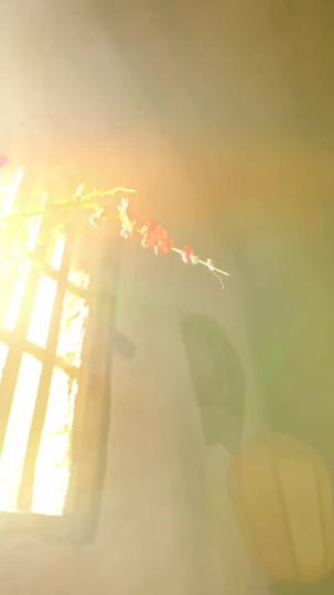 Revenge is My Name, Justice My Flame Episode 5