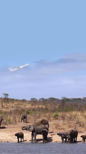 サンダーレディ 第 1 話