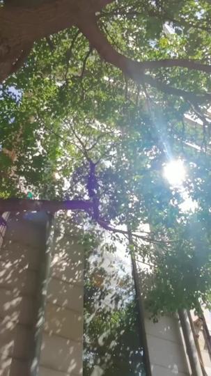 รักค่อยเป็นค่อยไป ที่3ตอน