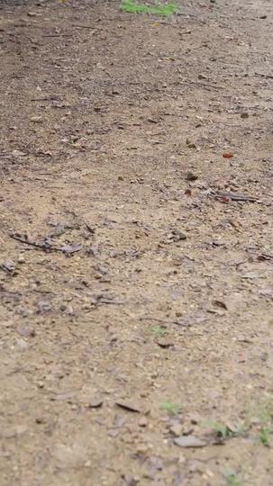 Hidup Berwarna Tabib Gendut Episode 3