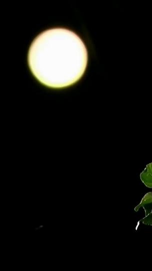 Timeless Love: From Embalmer to Princess Episode 8