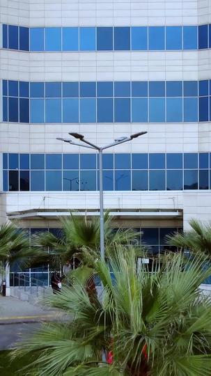 Le Bébé du Milliardaire Sans-Abri Épisode4