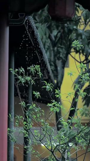 青檸映心 第7集