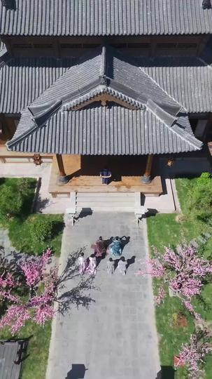 棄婦涅槃:攝政王的掌心嬌 第1集