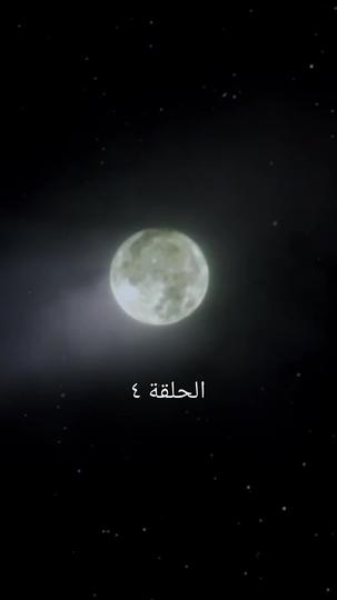 قطعة برجر مزدوجة 4مجموعة