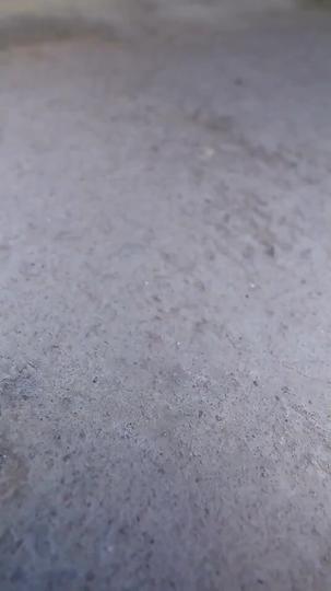 Unlikely Allies: Bonded by Betrayal Episode 1