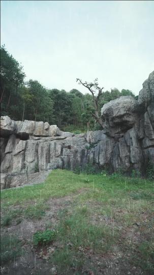 صحوة العين السماوية: أسطورة طائفة القمر والنجوم 7مجموعة