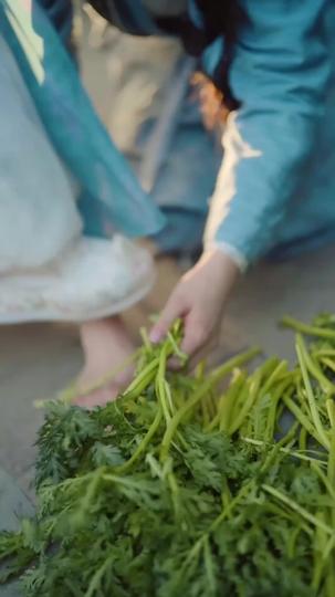 Çoban Kızın Şansı Böl. 3