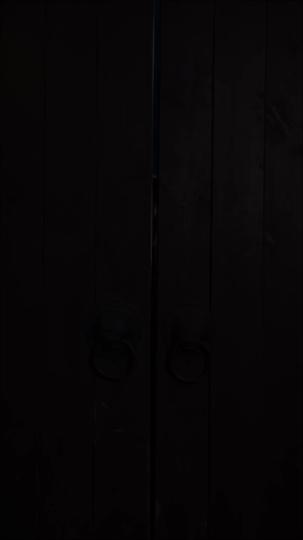 异女真人AI版 第5集