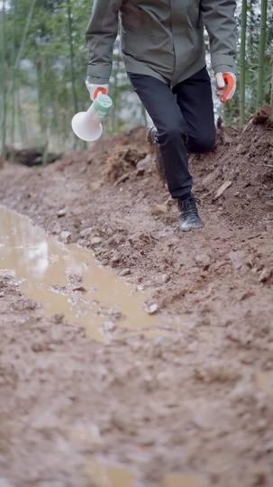 死の淵から帰ってきたお嬢様の復讐 第 11 話