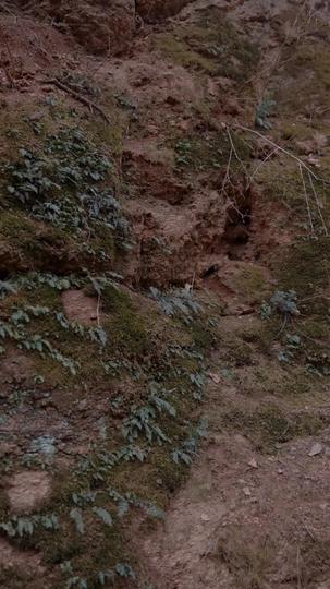 Love Left to Bleed Episode 2