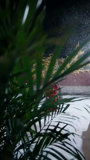 Thistles and Thorns: Her Rise to the Top Episode 1