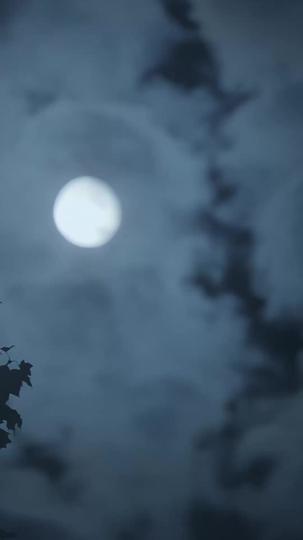 La Luna rejetée est l'Alpha Épisode1