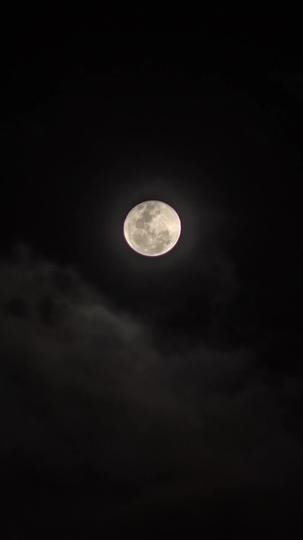 แค้นรักเมียเก่า ที่1ตอน