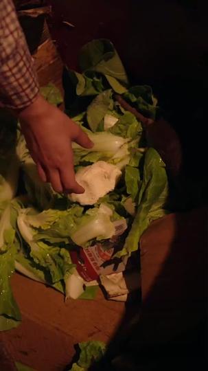 My Plot, My Husband, My Way Episode 1