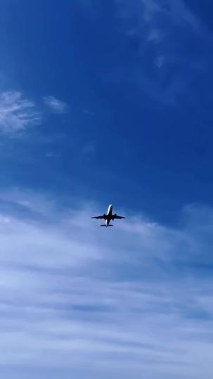 他不爱后,两个青梅后悔哭了 第6集