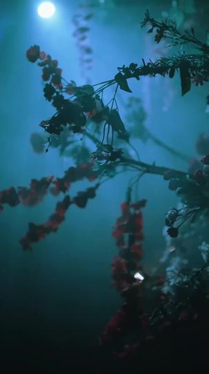  เจ้าสาวลับแล ที่7ตอน