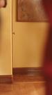 Épisodes 29