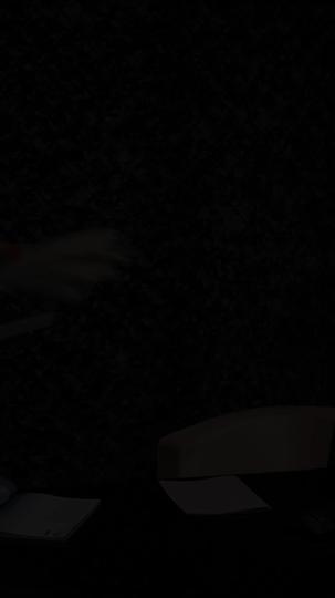 Echoes of Vengeance Episode 4