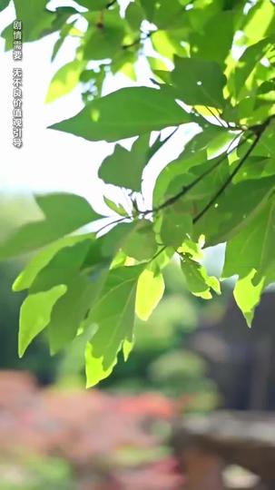 Amor e Dor que Sentimos na Pele 2Episódio