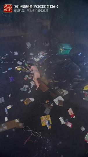 泪里开出的花 第1集