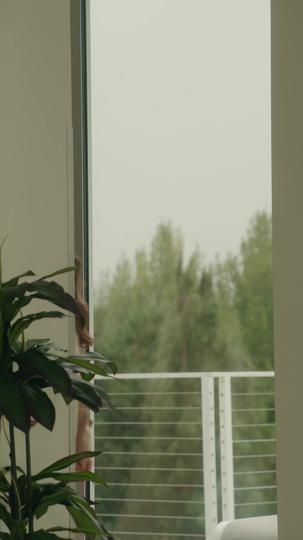 Ly Hôn Trong Ngày Cưới Tập 5